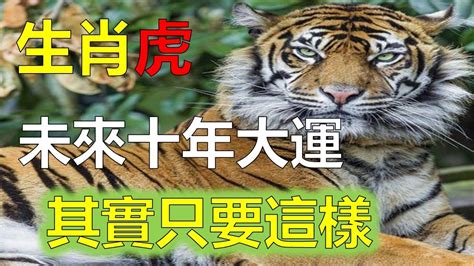 2023屬虎運勢1974|1974年属虎人2023年运势及运程 74年49岁生肖虎2023年每月运。